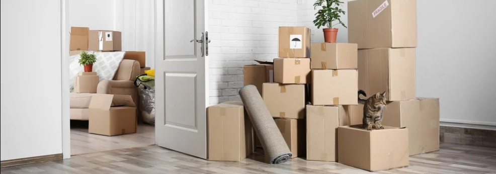 Denizli Nakliyat Firması